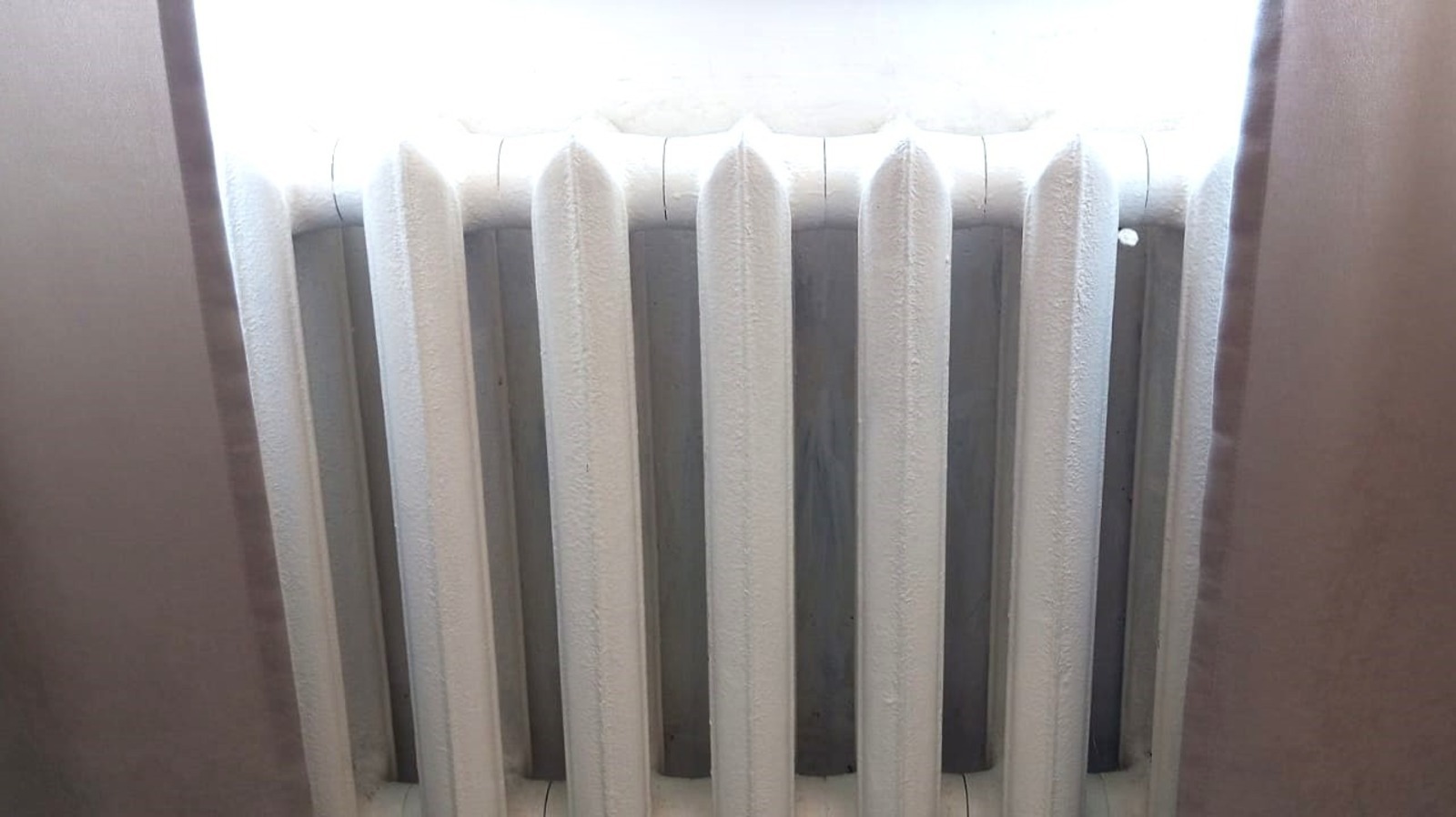 Евгении Сюткиной.