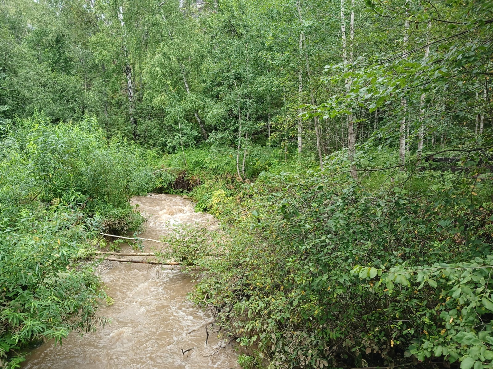 Васили Саитовой.