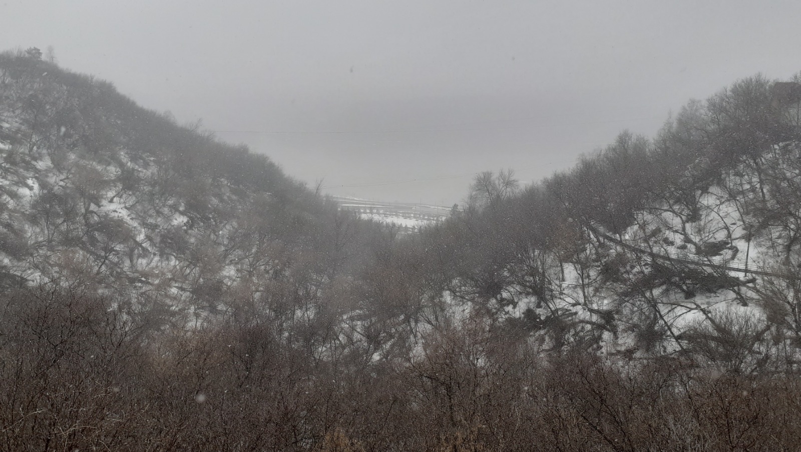 Владимира Шакиева. «Общественная электронная газета».