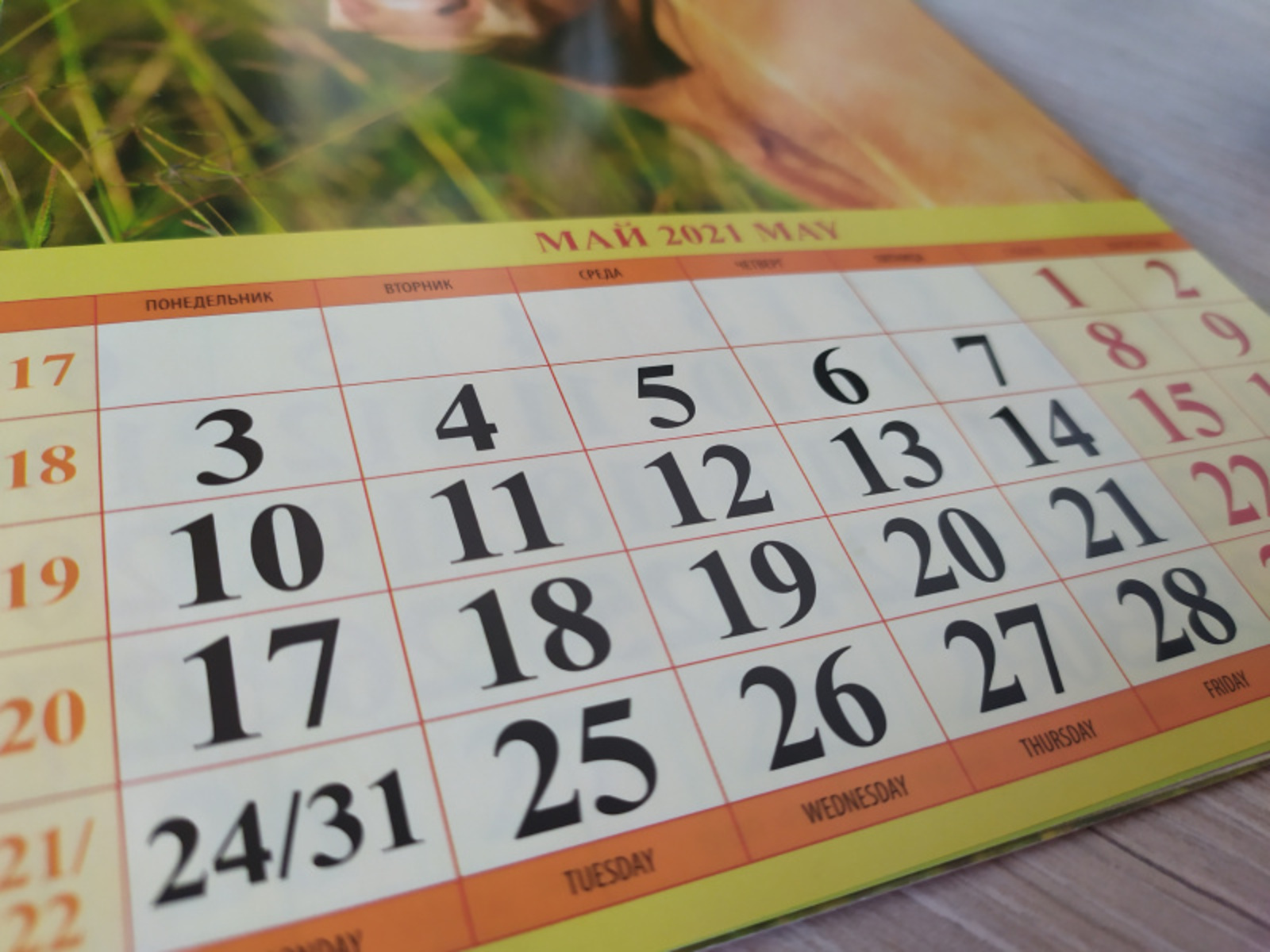 Фото Васили Саитовой.