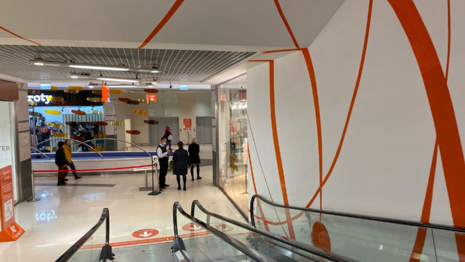 Елена Колоколова.