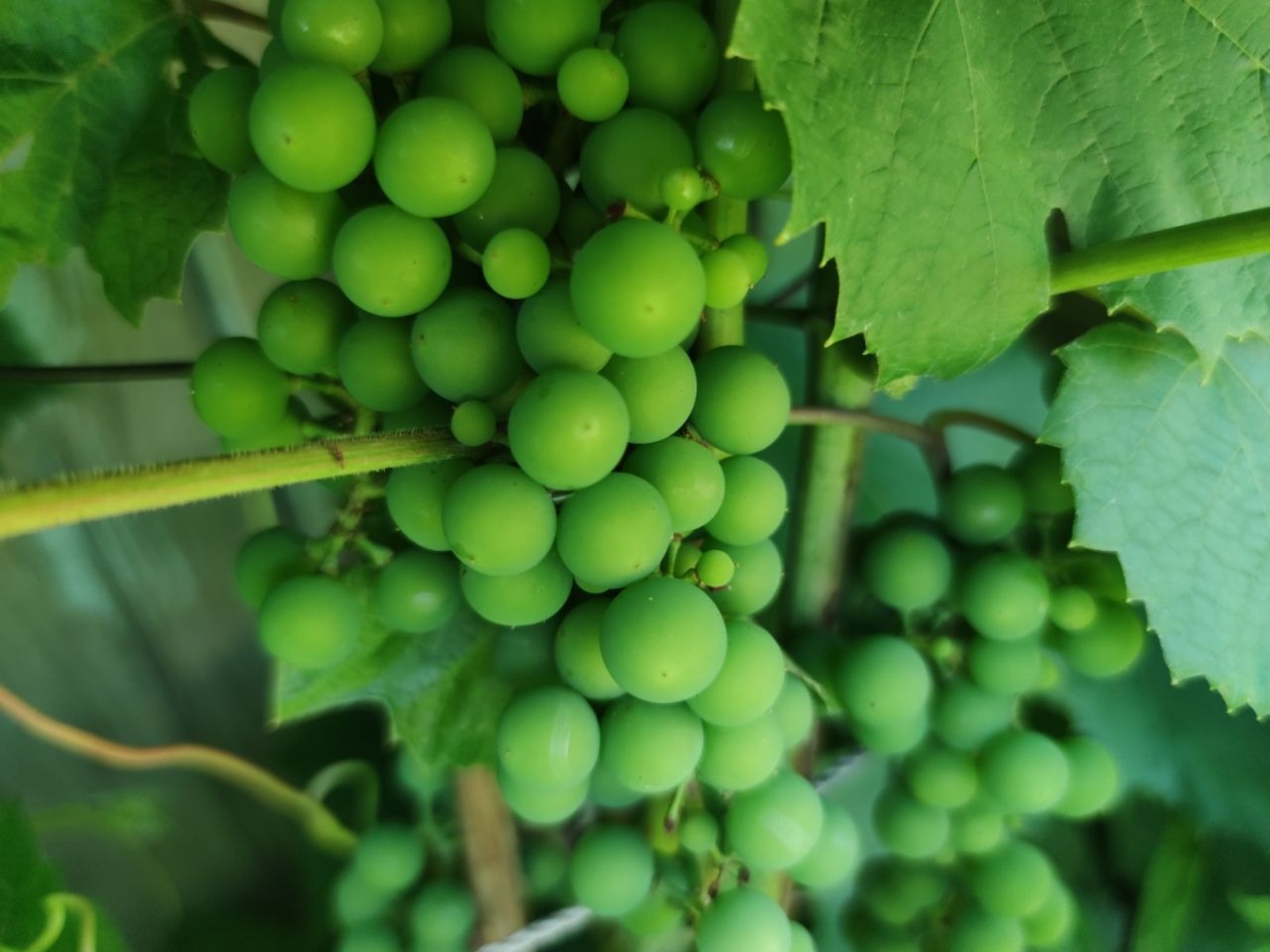 Дарьи Святохиной.