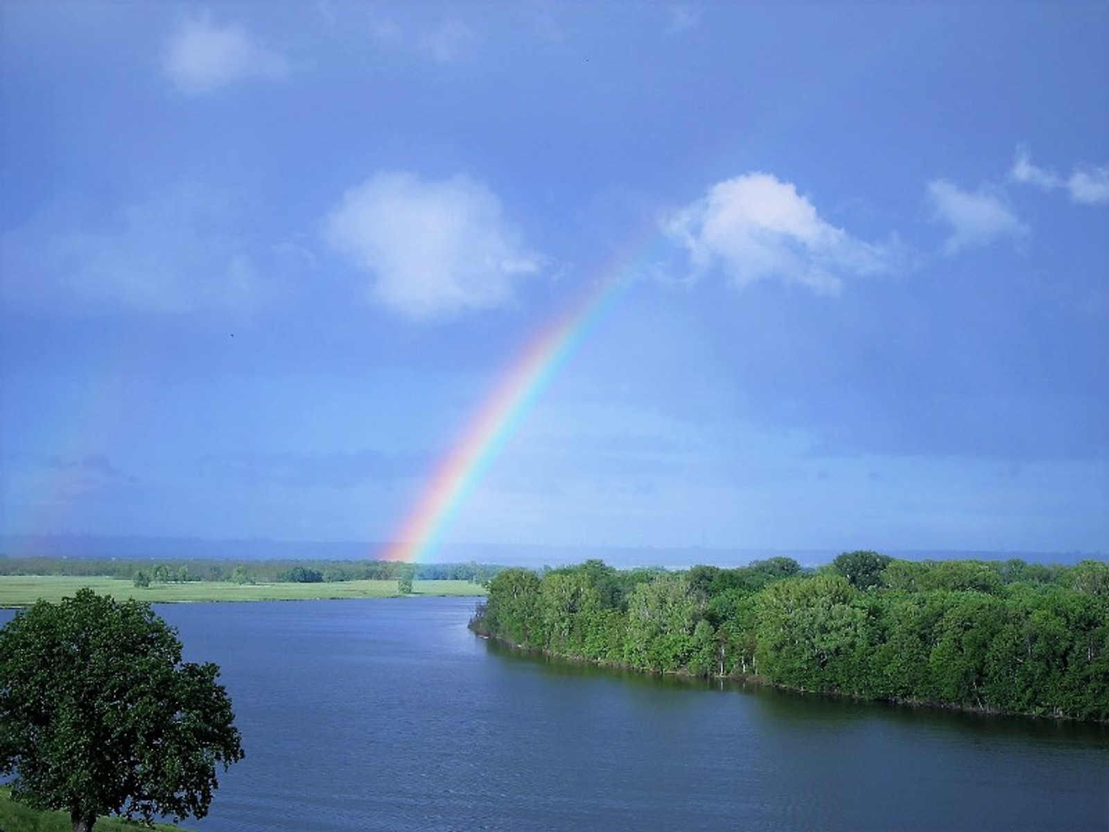 Фото Андрея Старостина.