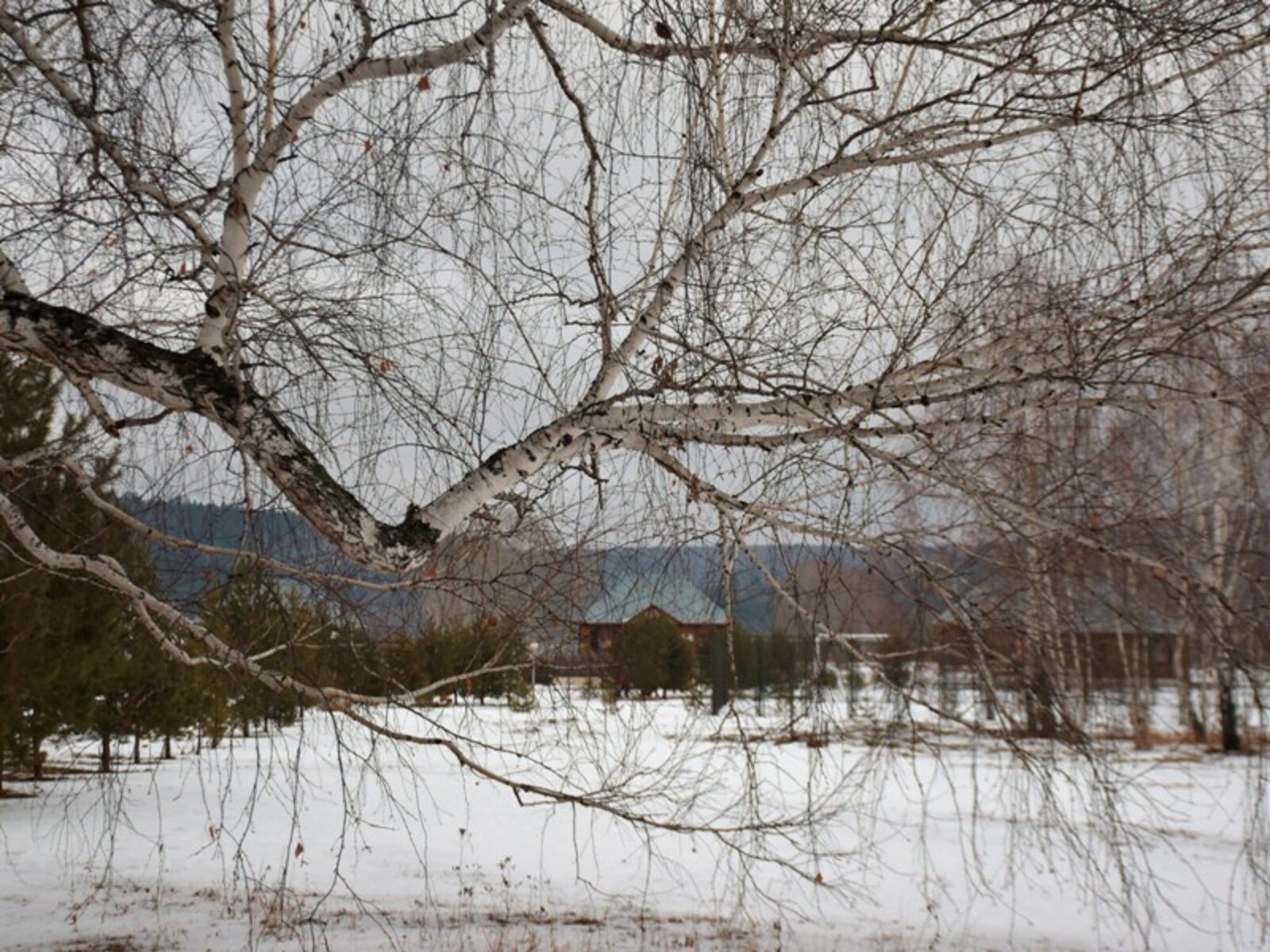 Фото Елены Колоколовой.