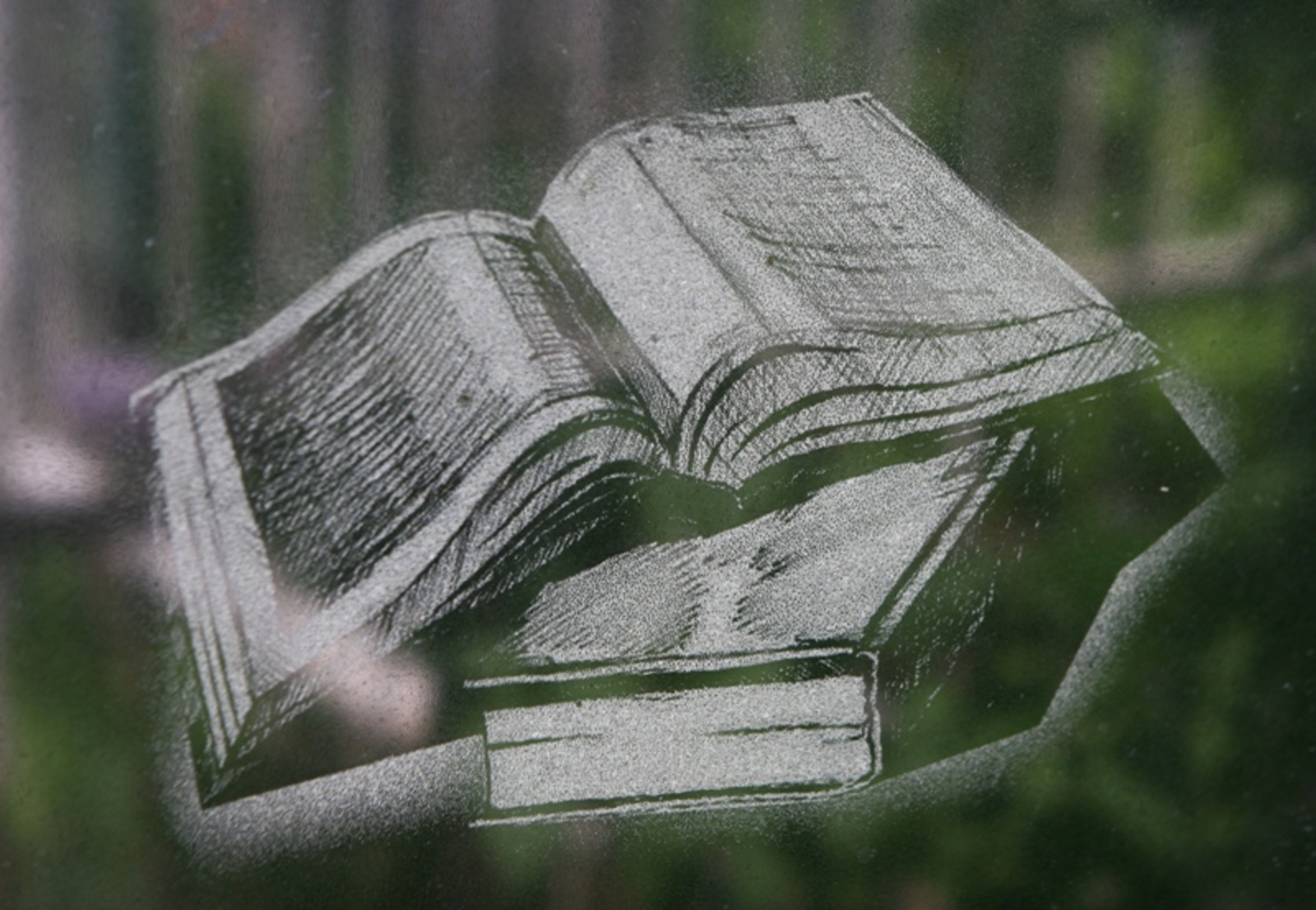 Фото Андрея Старостина.