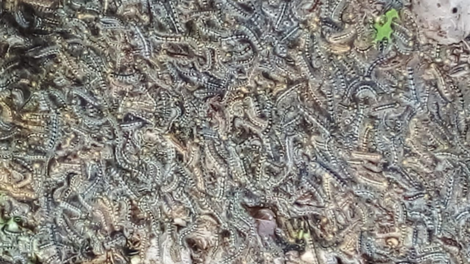 Фото Елены Колоколовой.