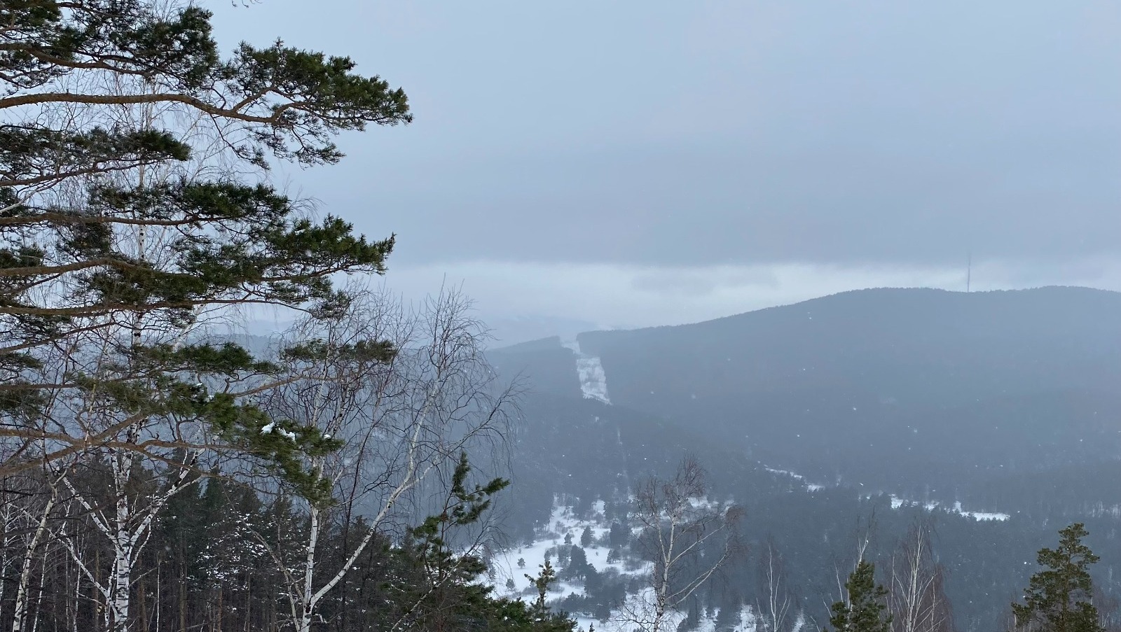 Елены Колоколовой.