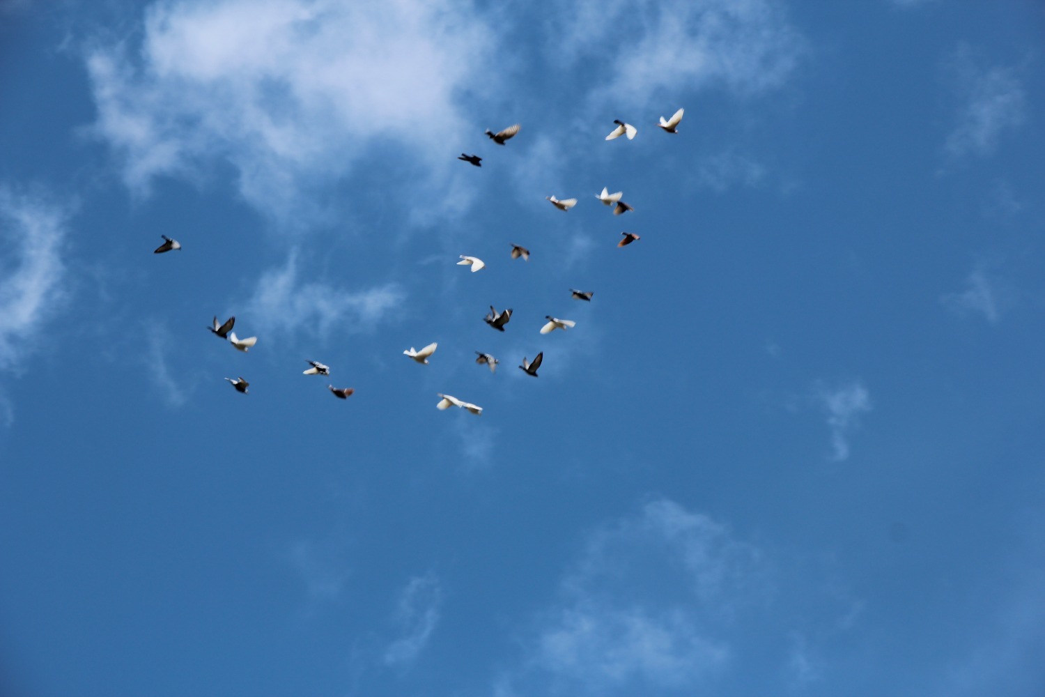 Евгении Сюткиной.