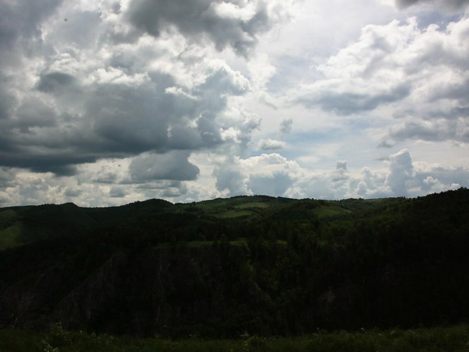 Фото Альмира Сибагатуллина.