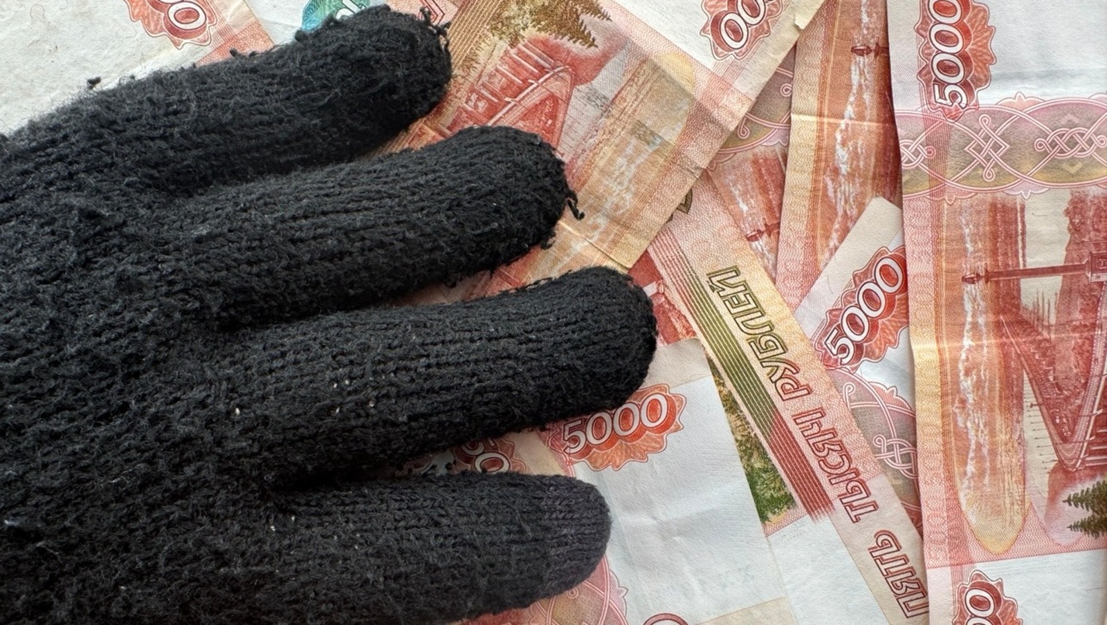 Елены Колоколовой.