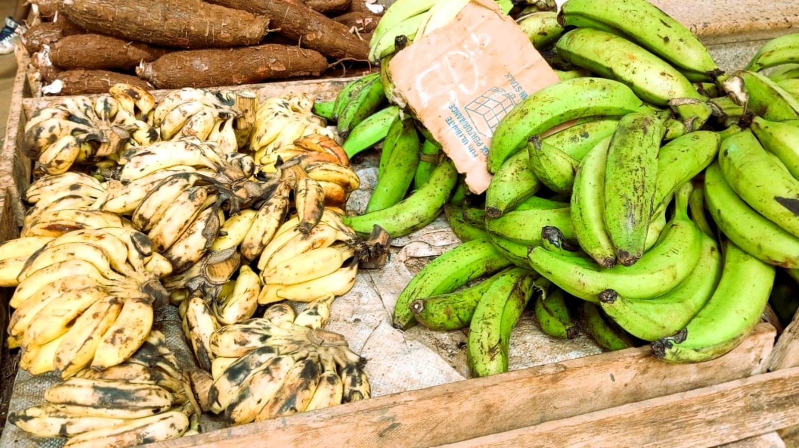 Евгении Сюткиной.