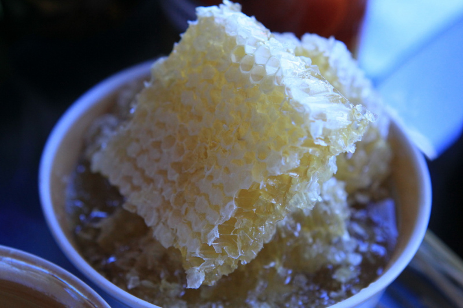 Фото Андрея Старостина.