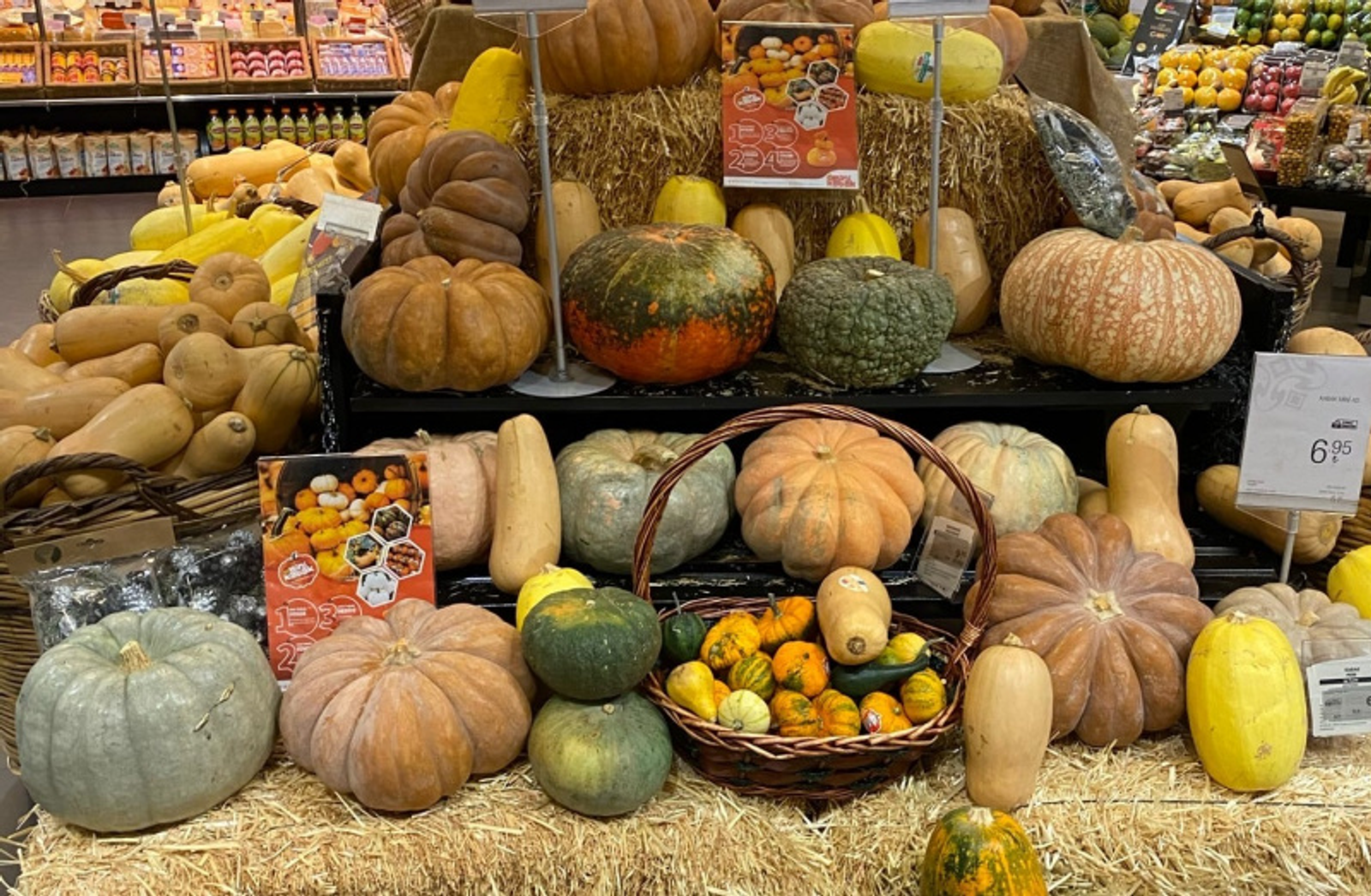 Фото Елены Колоколовой.