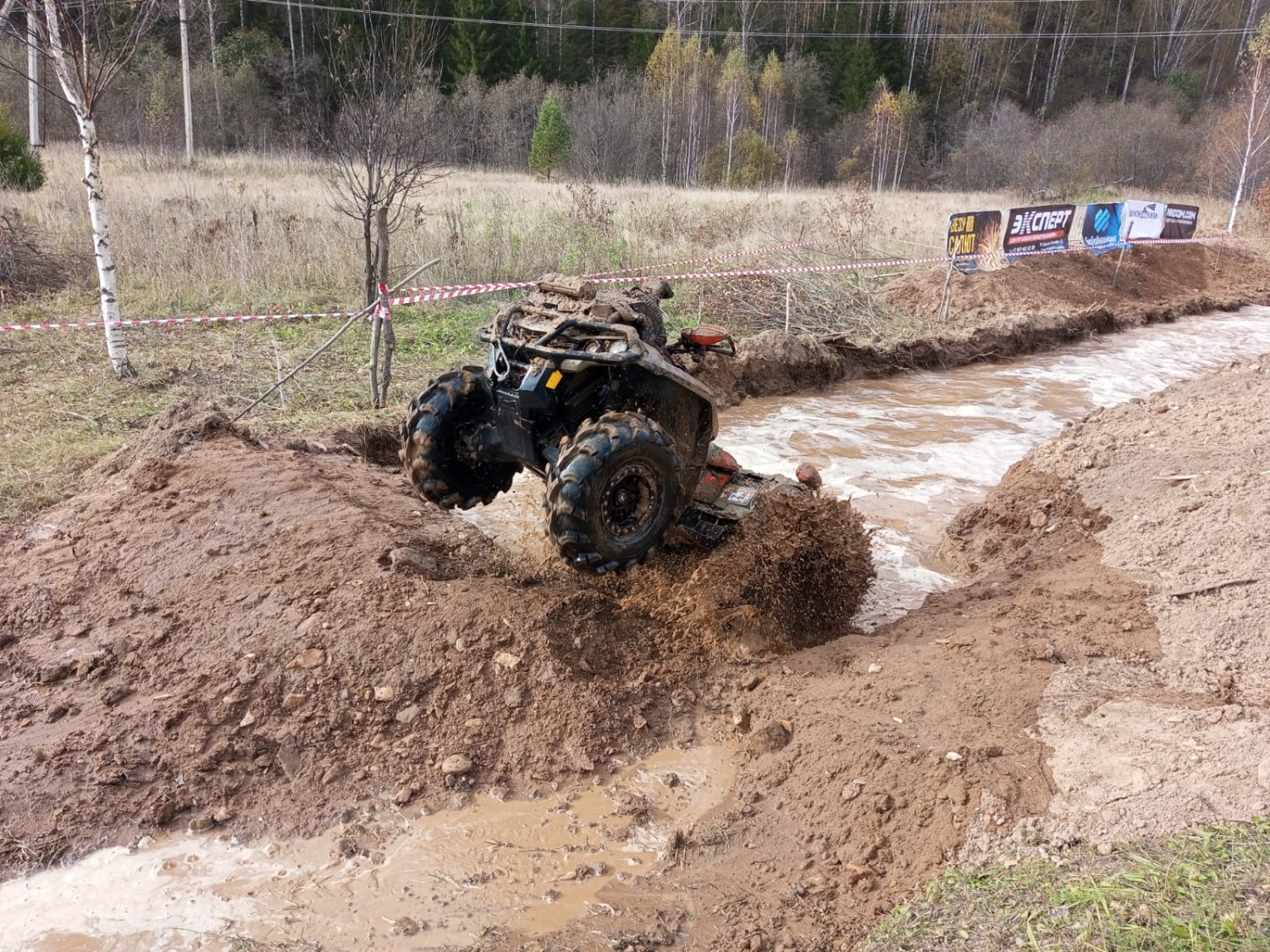 Евгении Сюткиной.