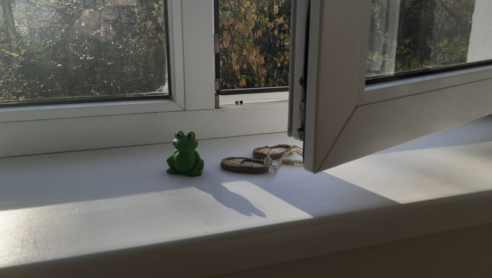 Владимира Шакиева.