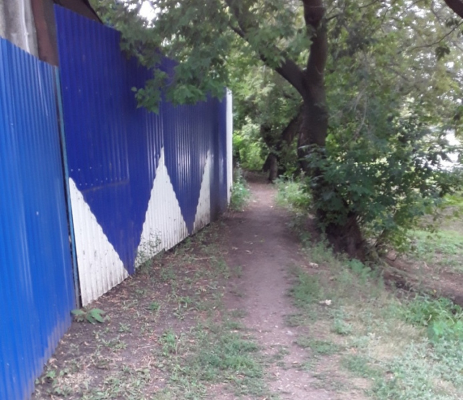 Фото предоставлено Ферузой Ахмедовой.