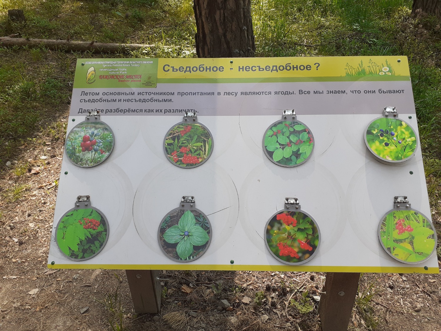 Владимира Шакиева.