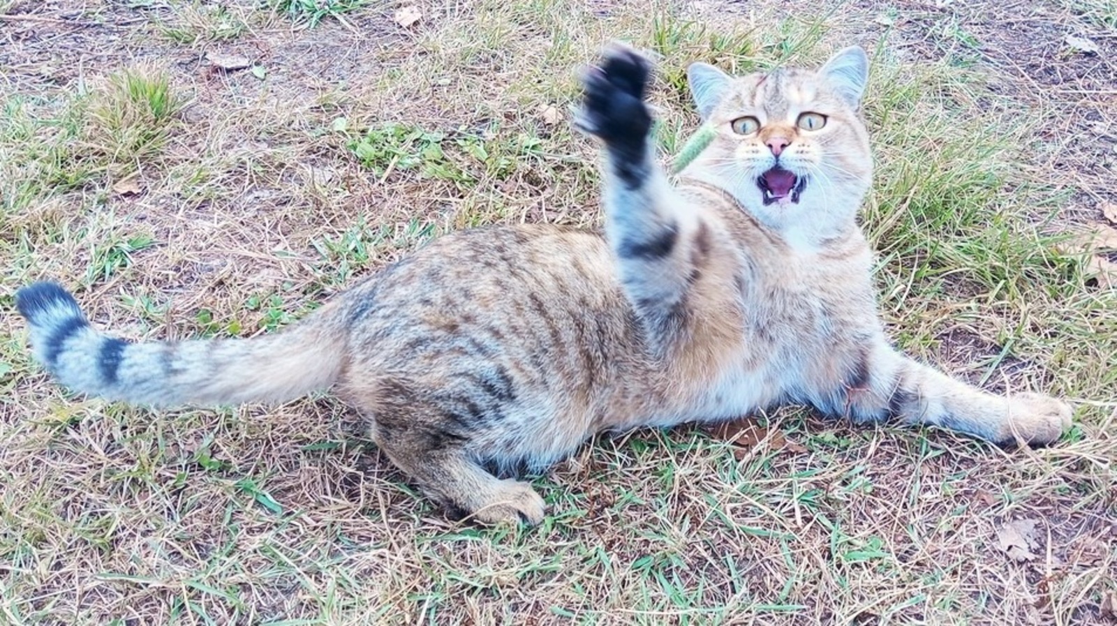 Евгении Сюткиной.