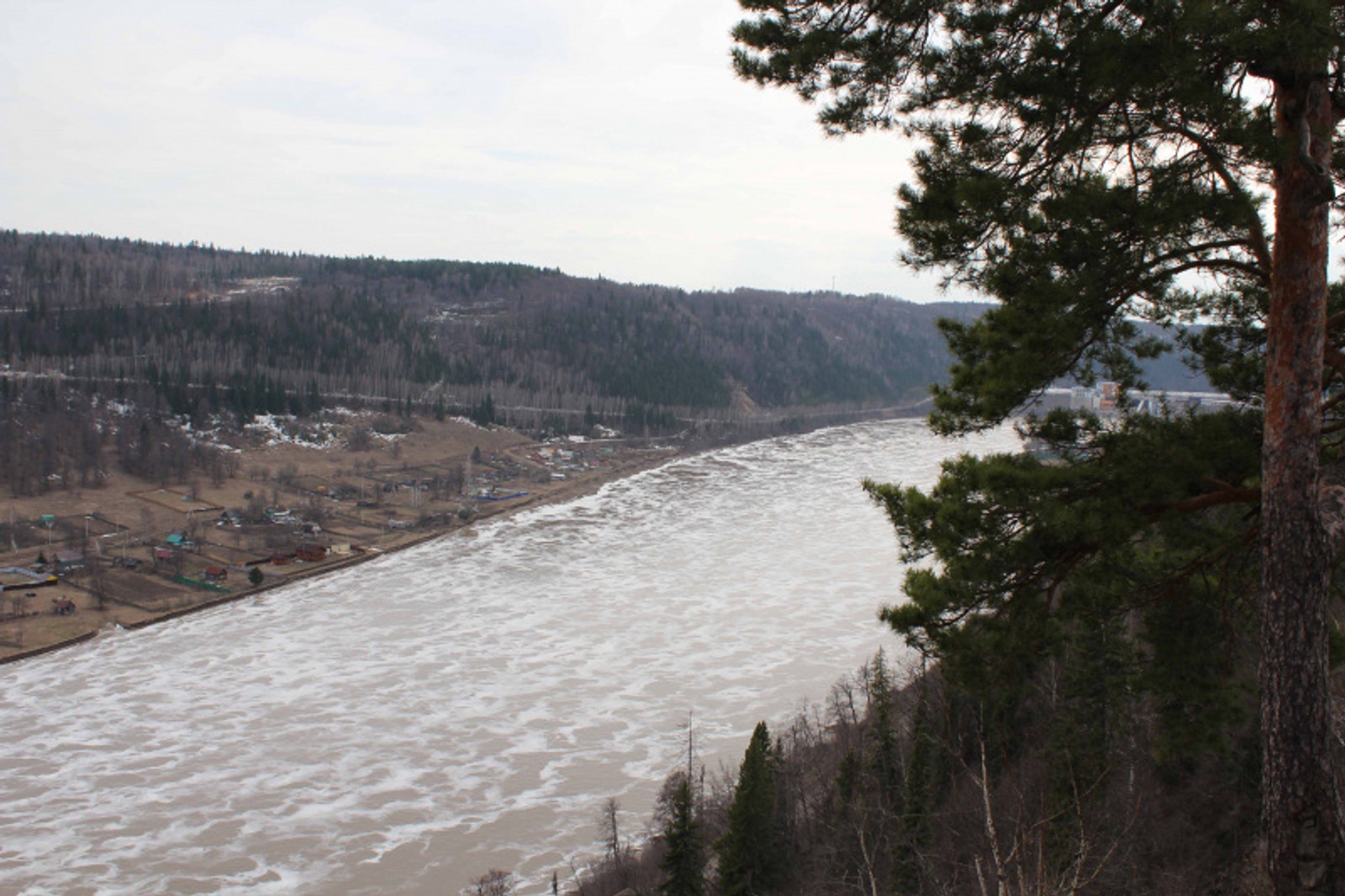 Фото автора.