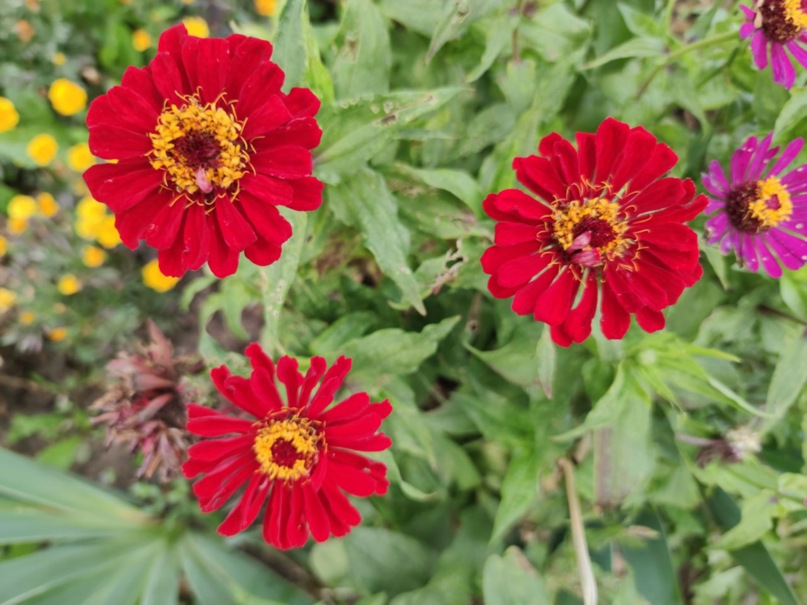 Дарьи Святохиной.