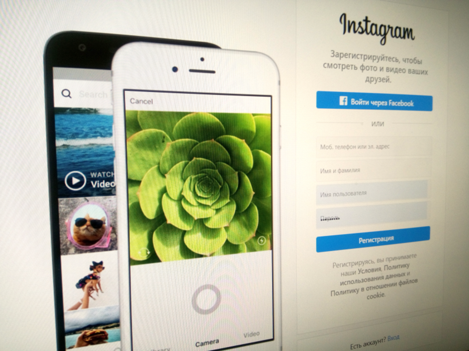 Фото Васили Саитовой.