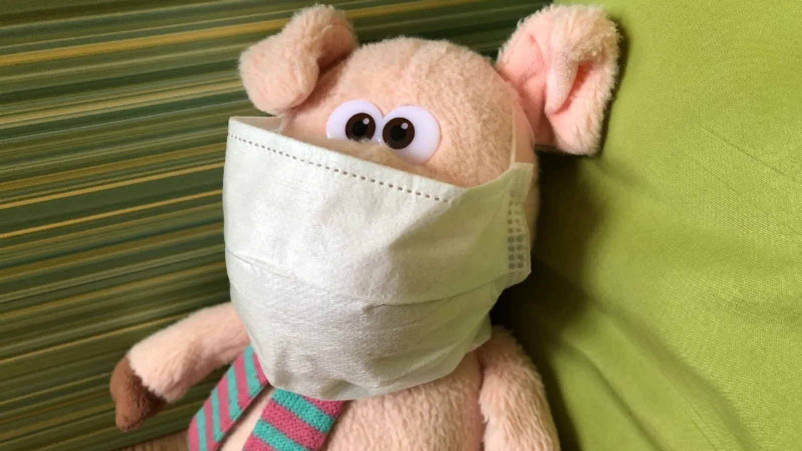 Елены Колоколовой.