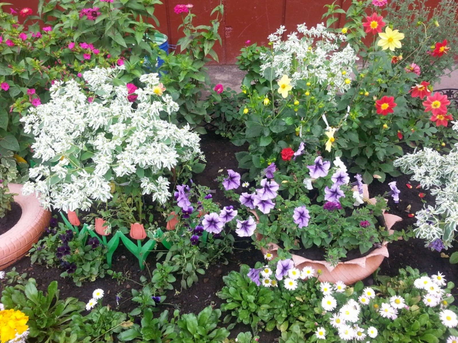 Фото автора.