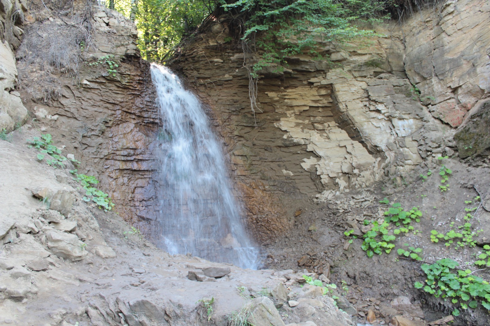 Дарьи Святохиной.