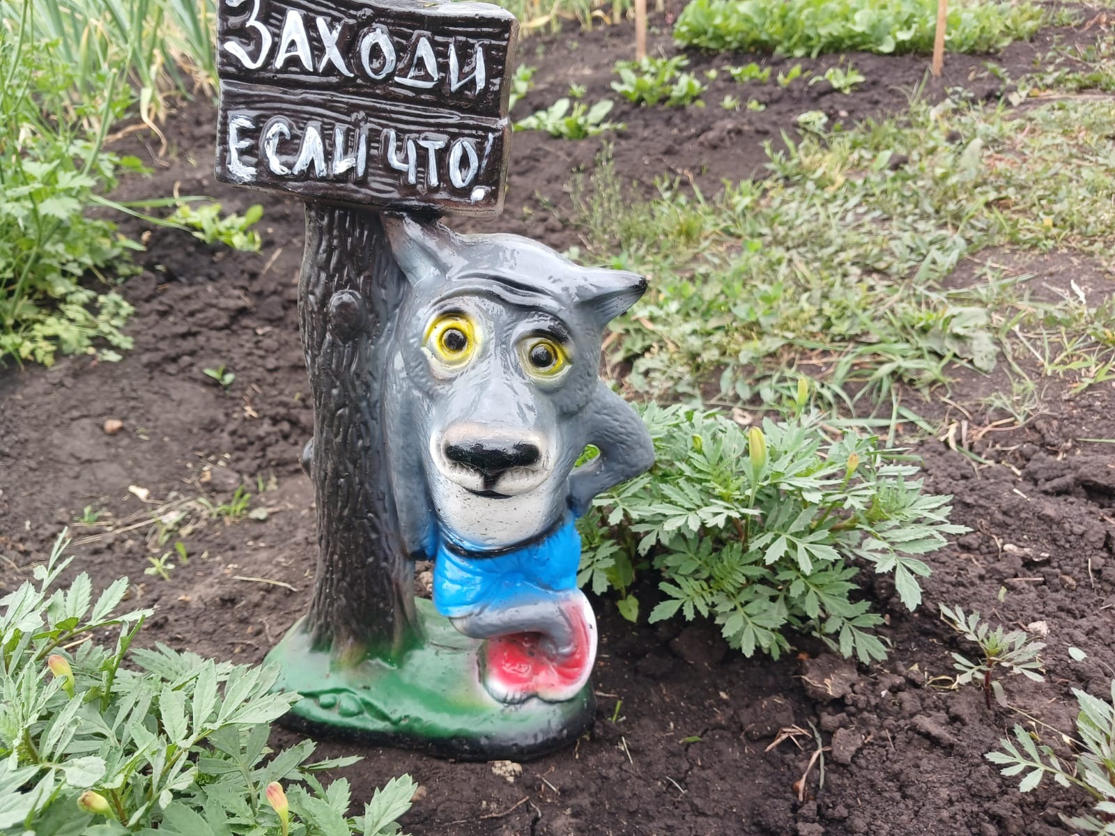 Васили Саитовой.