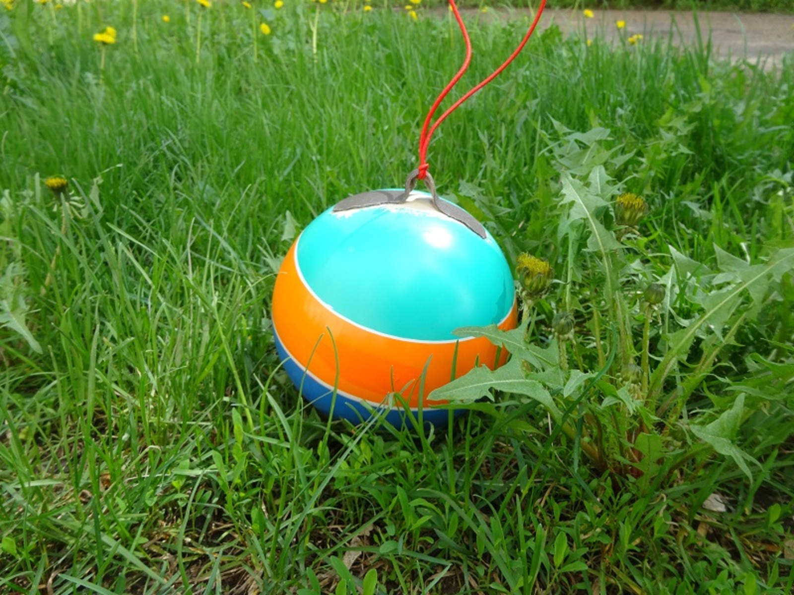 Фото автора.