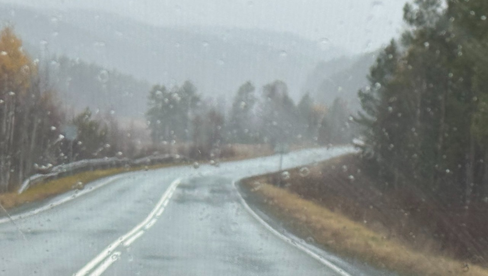 Елены Колоколовой. "Общественная электронная газета".