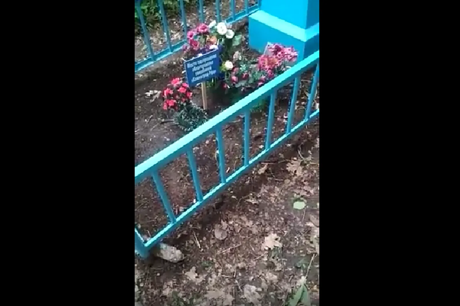 Фото предоставлено Верой Гавриловой.