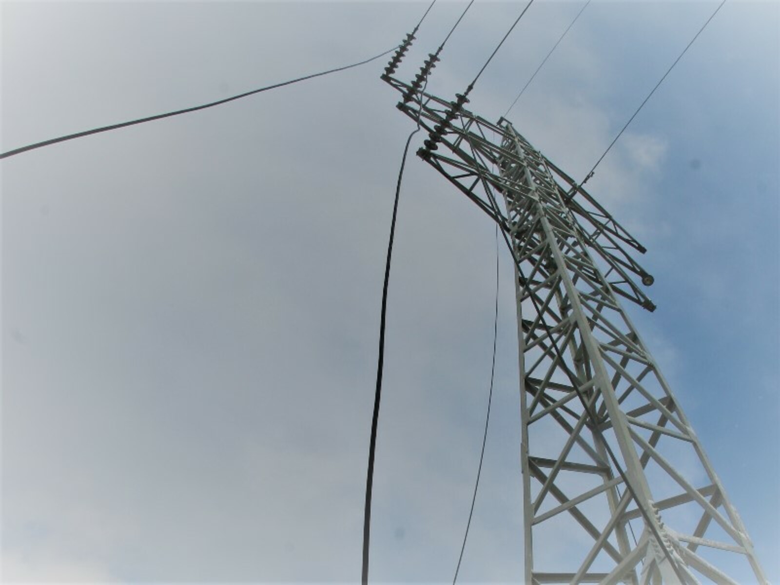 Фото Андрея Старостина.