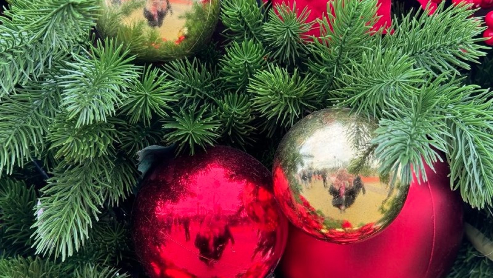 Елены Колоколовой.  «Общественная электронная газета».