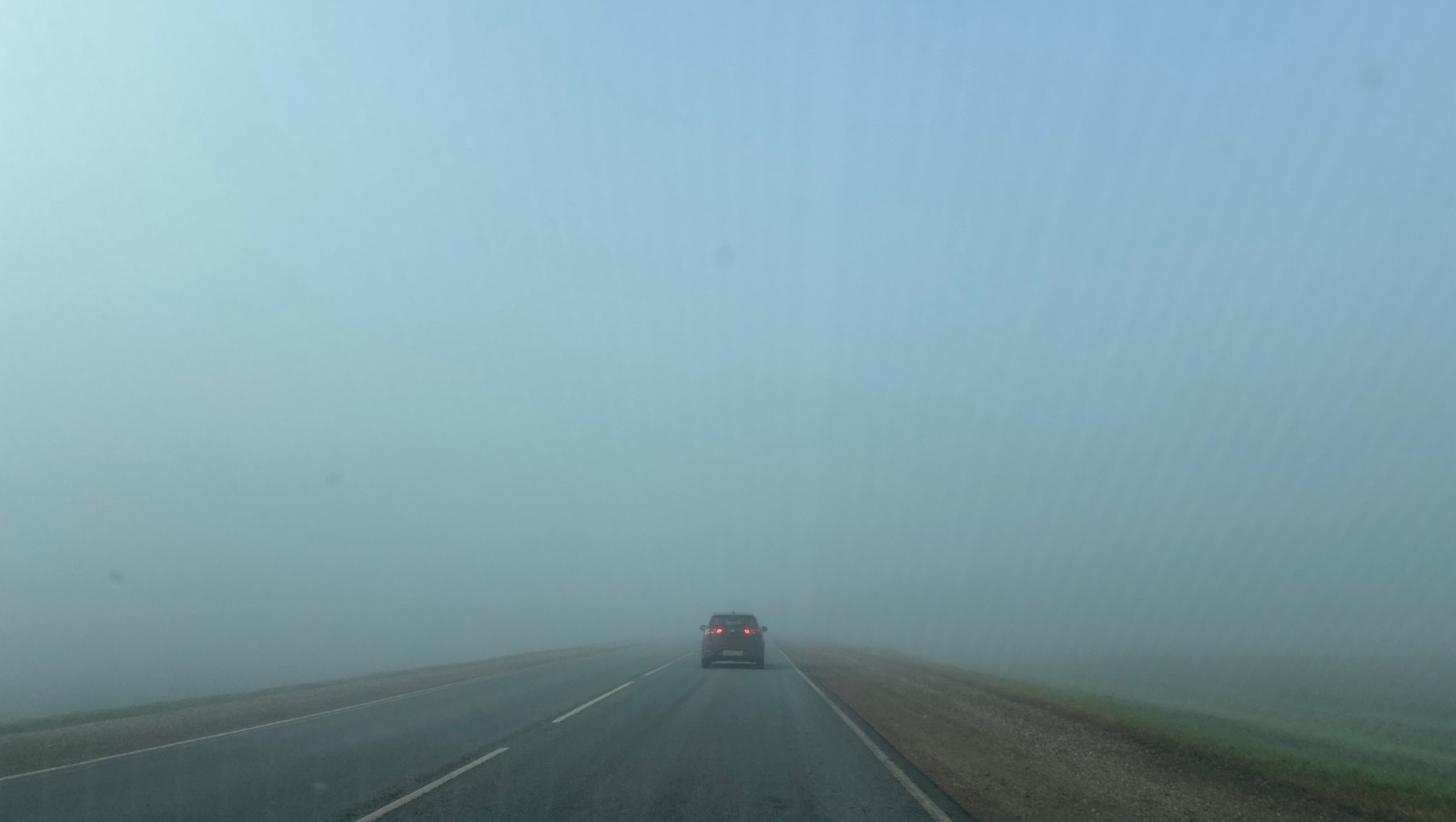 Елены Колоколовой.