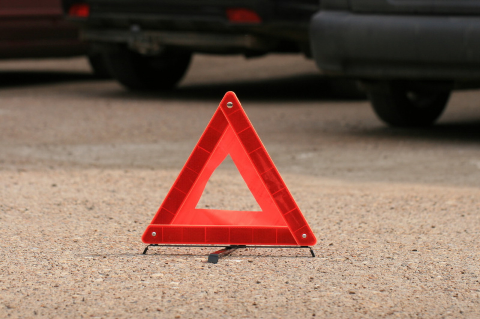 Фото Андрея Старостина.