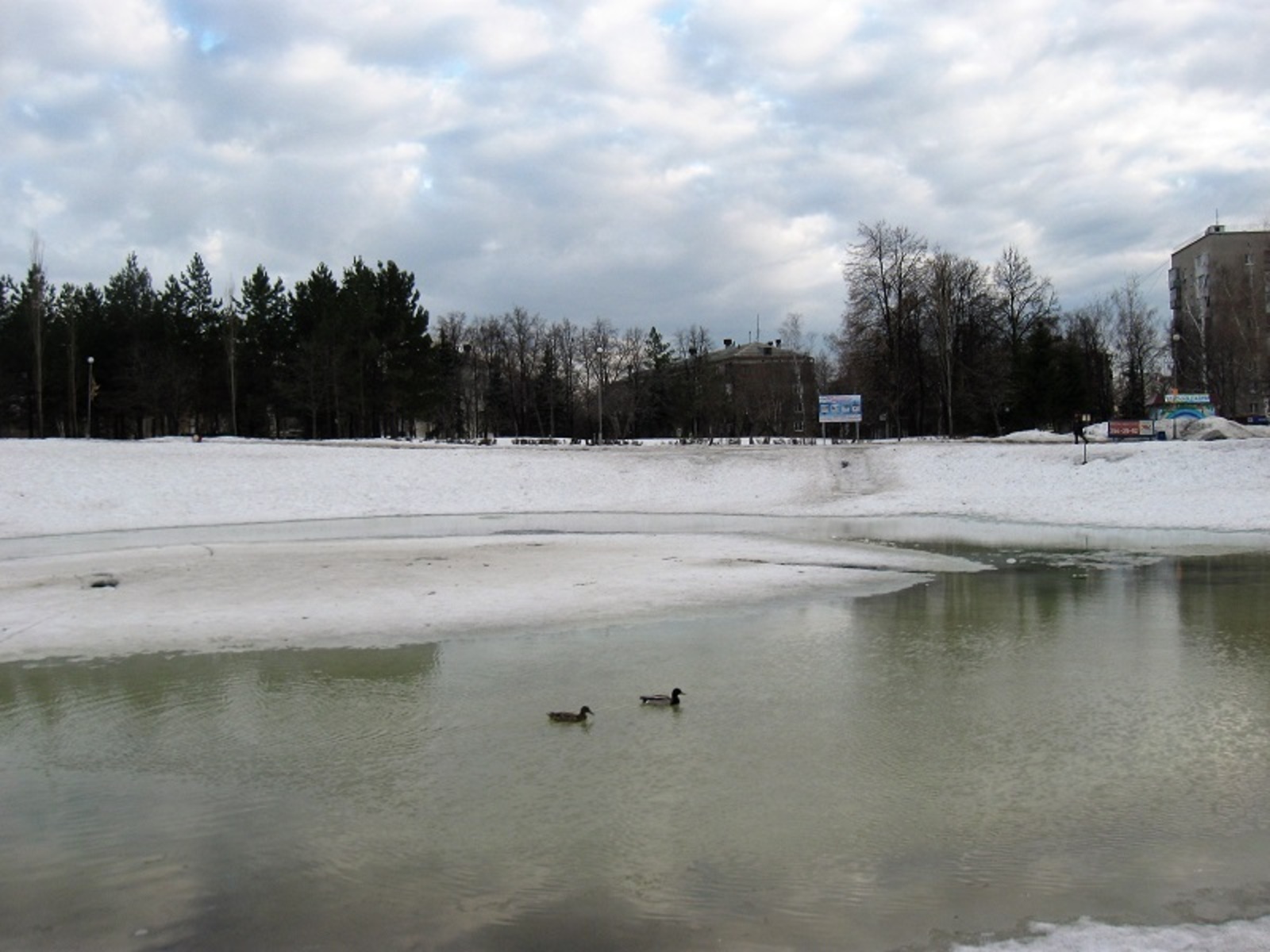 Фото автора.