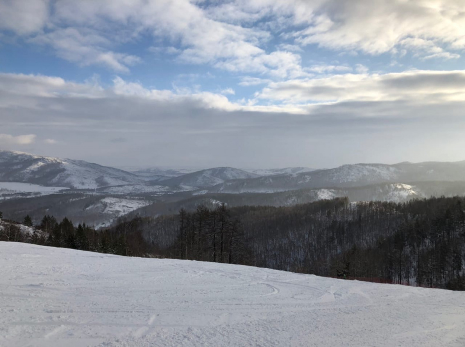 Фото автора.