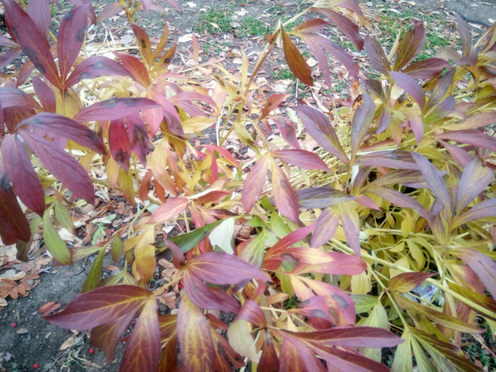 Фото Васили Саитовой.