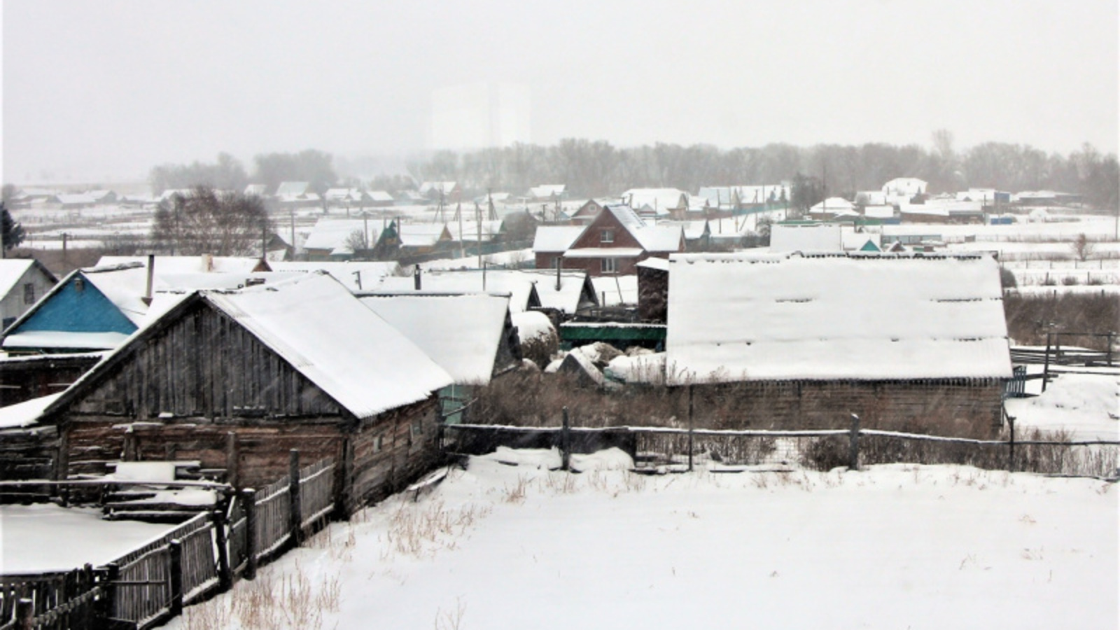 Фото автора.