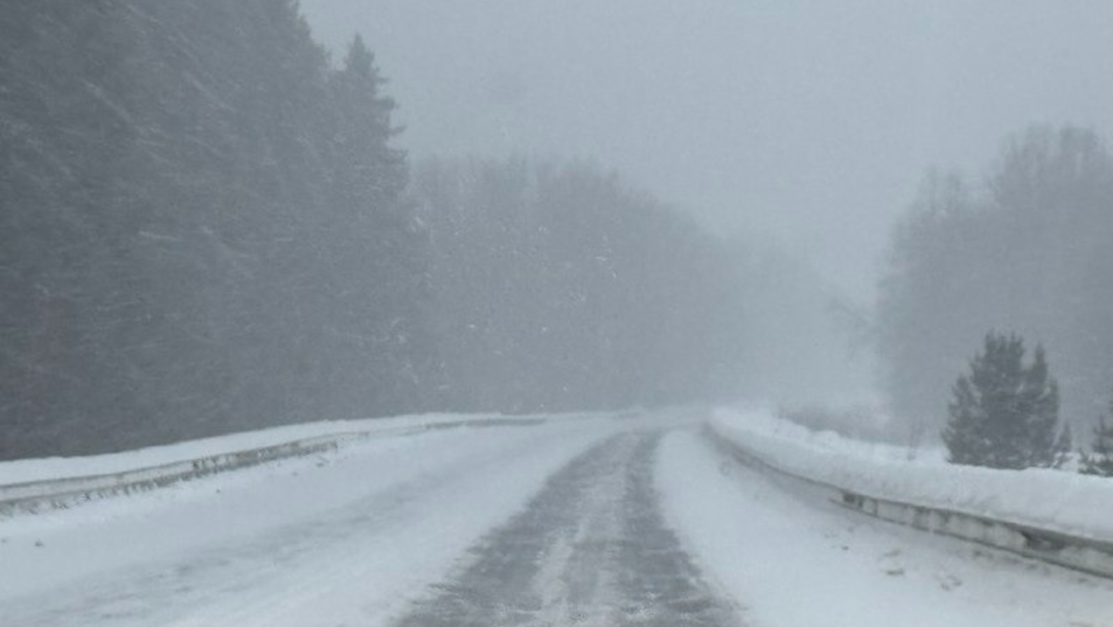 Елены Колоколовой.  «Общественная электронная газета».