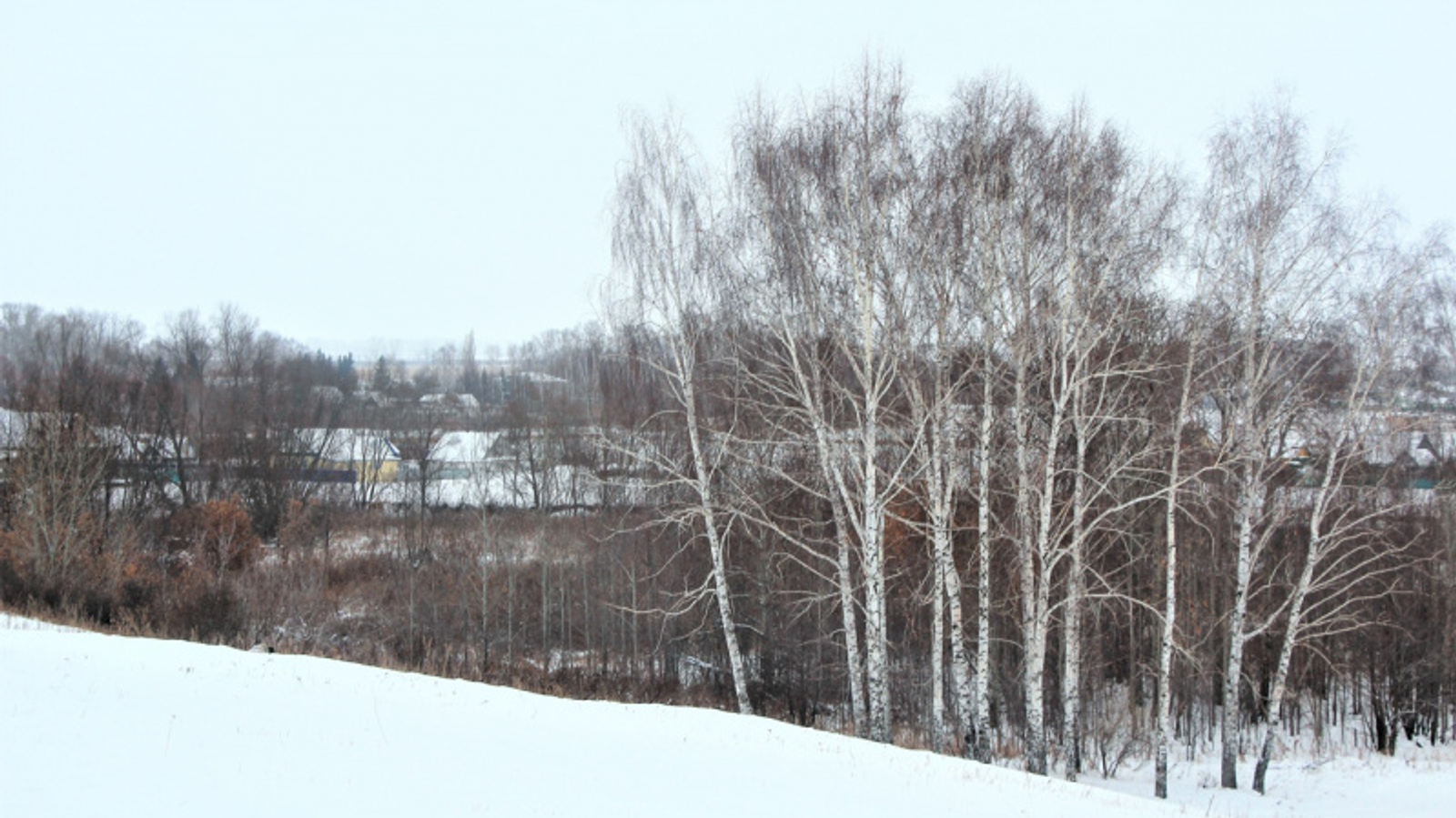 Фото автора.