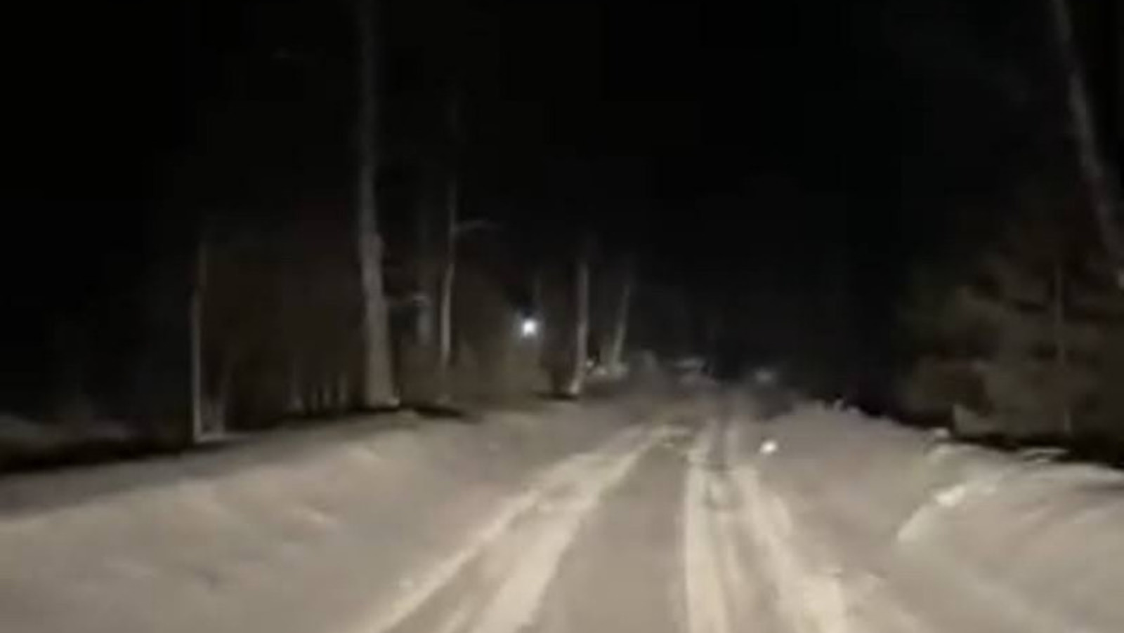 Елены Колоколовой.