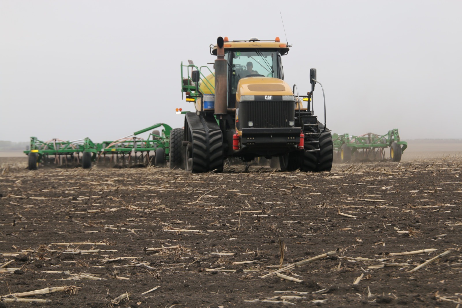 c сайта https://pravitelstvorb.ru.