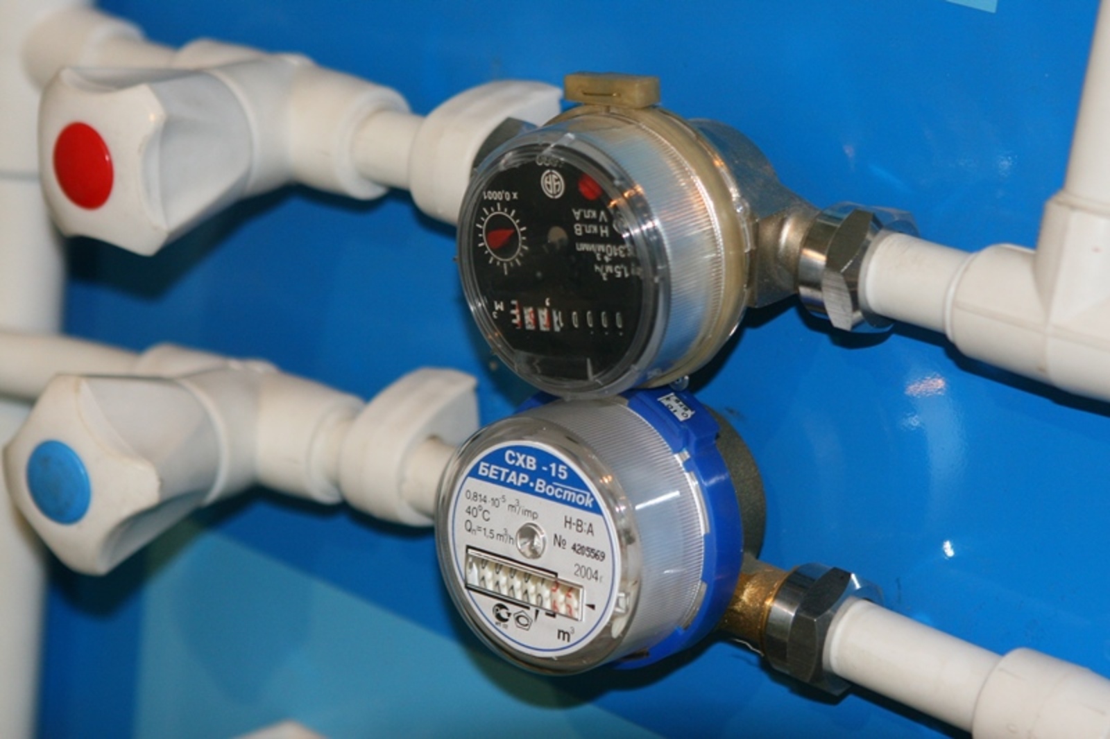 Фото Андрея Старостина.