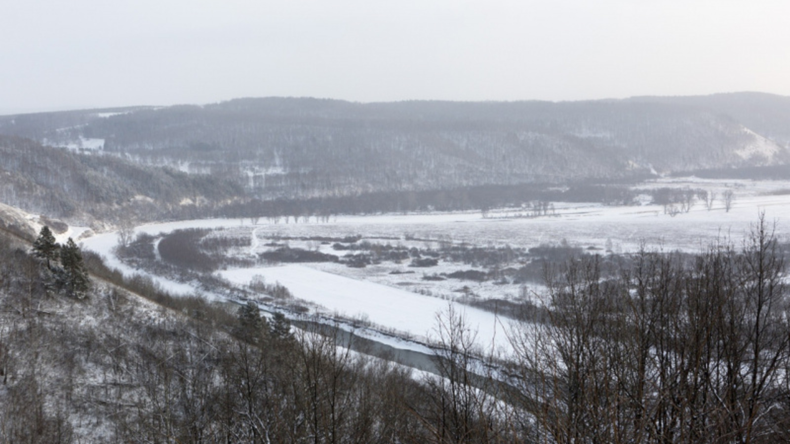 Фото Евгении Сюткиной.