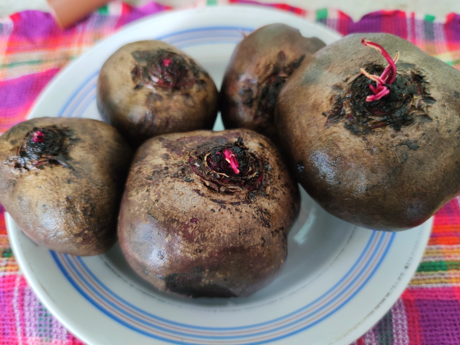 Дарьи Святохиной.