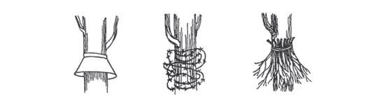 пособие «Строим домики для птиц». составлено Нижегородским отделением Союза охраны птиц России.