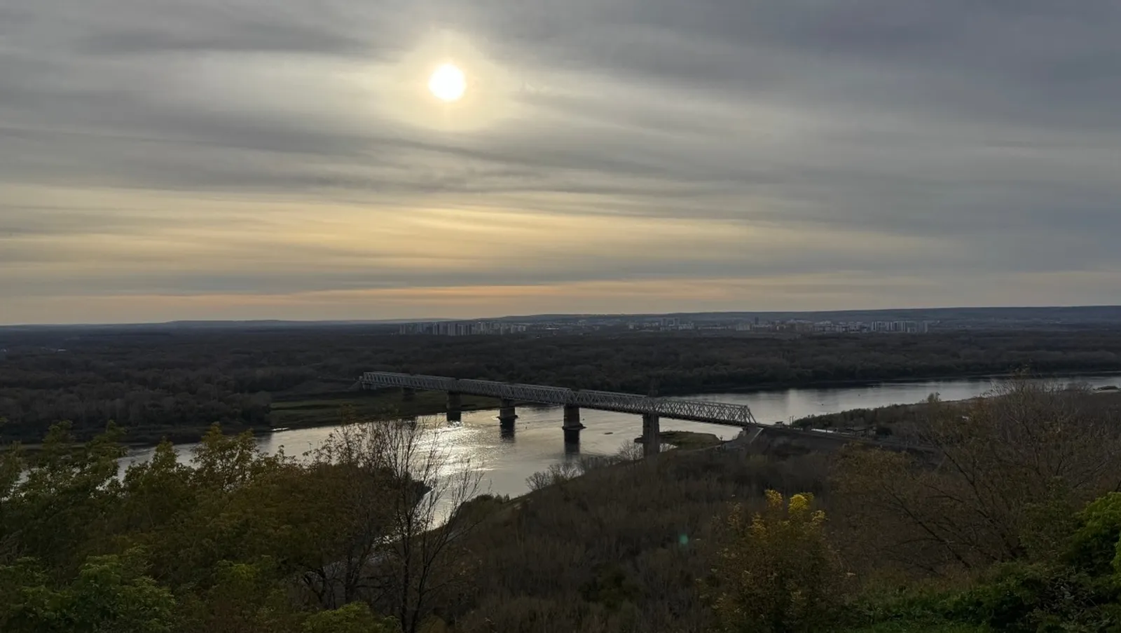 Елены Колоколовой.  «Общественная электронная газета».