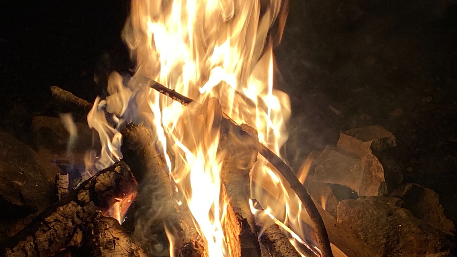 Елены Колоколовой.